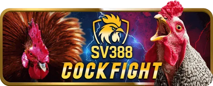 Đội ngũ hỗ trợ khách hàng fvip88
